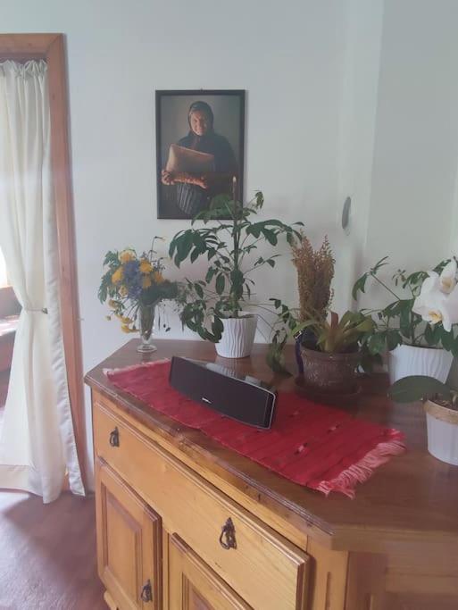 Cemerno Cottage Gacko Bagian luar foto